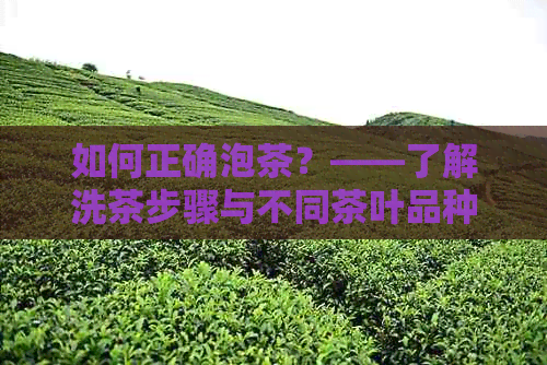 如何正确泡茶？——了解洗茶步骤与不同茶叶品种的冲洗建议