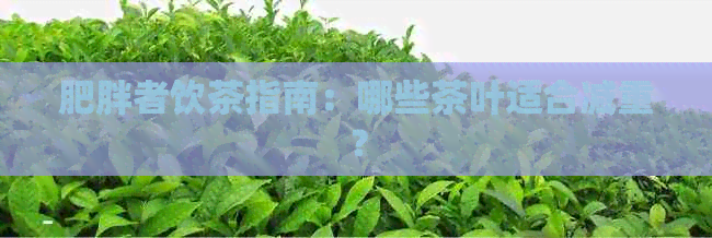 肥胖者饮茶指南：哪些茶叶适合减重？