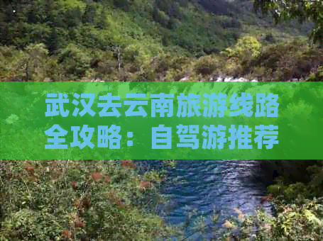 武汉去云南旅游线路全攻略：自驾游推荐与实用指南-武汉自驾游去云南旅游更佳路线