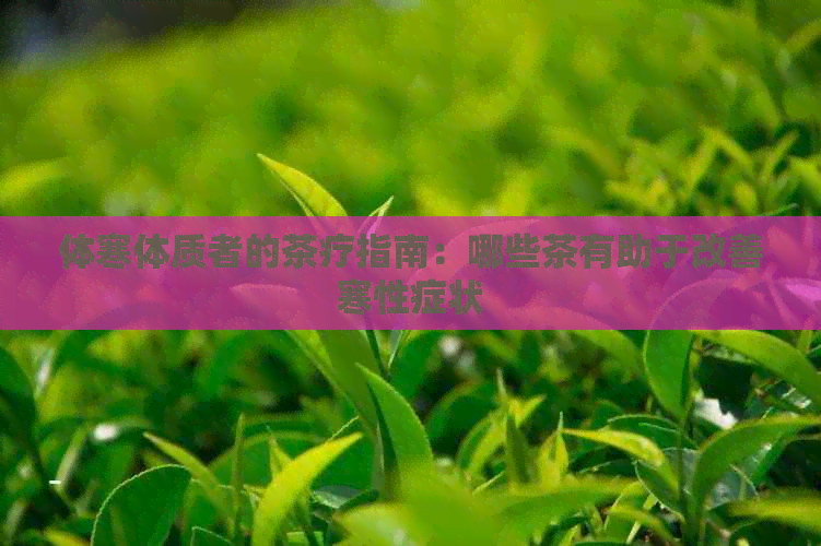 体寒体质者的茶疗指南：哪些茶有助于改善寒性症状