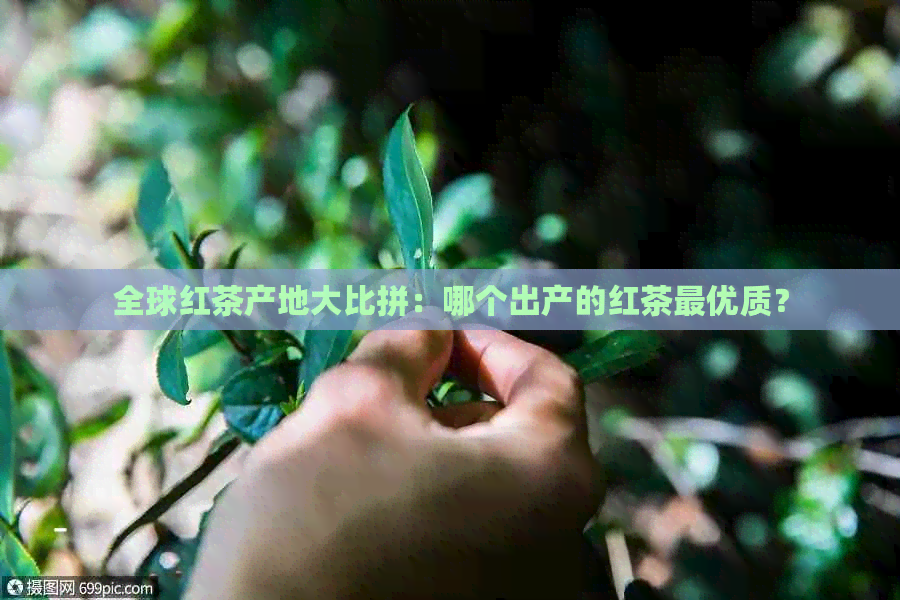 全球红茶产地大比拼：哪个出产的红茶更优质？