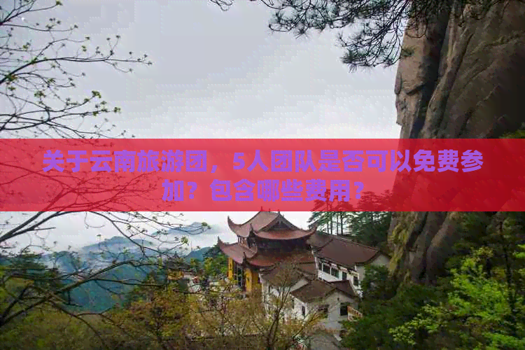 关于云南旅游团，5人团队是否可以免费参加？包含哪些费用？