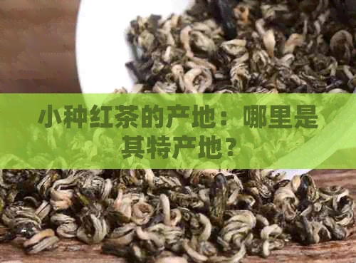 小种红茶的产地：哪里是其特产地？