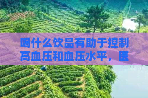 喝什么饮品有助于控制高血压和血压水平，医生的建议和实践方法