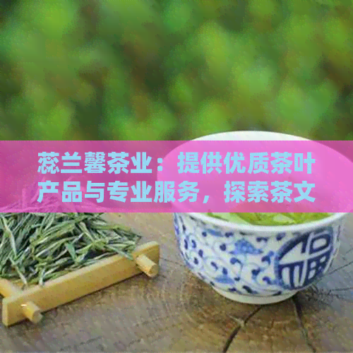 蕊兰馨茶业：提供优质茶叶产品与专业服务，探索茶文化之美