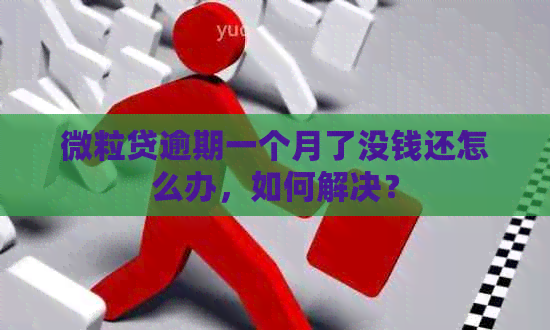 微粒贷逾期一个月了没钱还怎么办，如何解决？