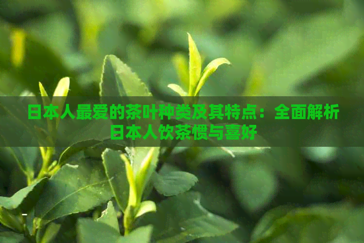 人更爱的茶叶种类及其特点：全面解析人饮茶惯与喜好