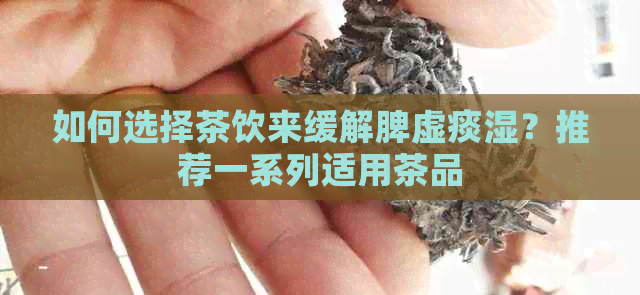 如何选择茶饮来缓解脾虚痰湿？推荐一系列适用茶品