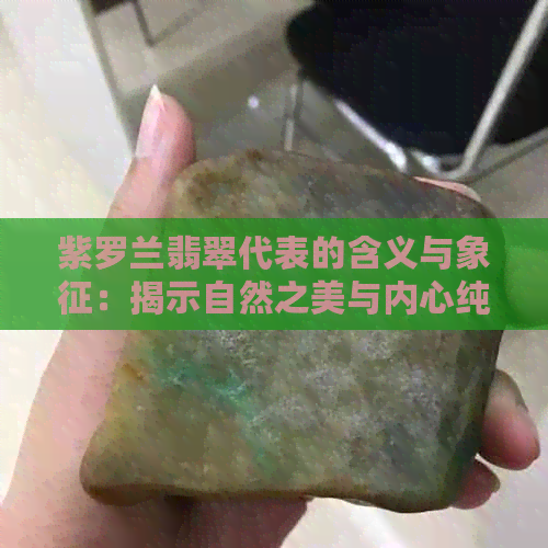 紫罗兰翡翠代表的含义与象征：揭示自然之美与内心纯真