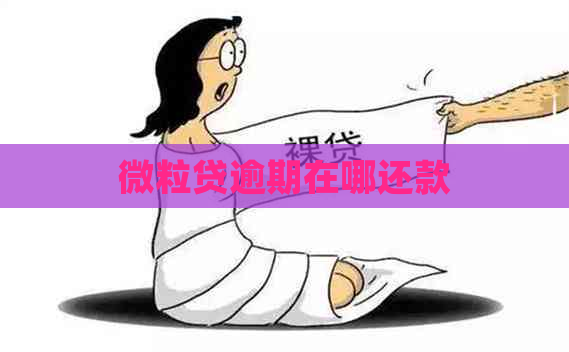 微粒贷逾期在哪还款