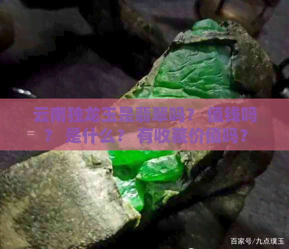 云南独龙玉是翡翠吗？ 值钱吗？ 是什么？ 有收藏价值吗？