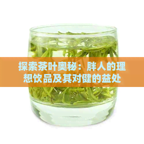 探索茶叶奥秘：胖人的理想饮品及其对健的益处