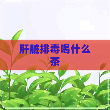 肝脏排喝什么茶