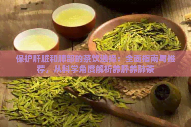 保护肝脏和肺部的茶饮选择：全面指南与推荐，从科学角度解析养肝养肺茶