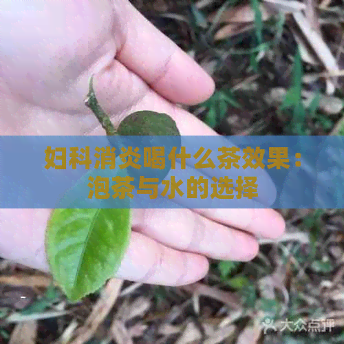 妇科消炎喝什么茶效果：泡茶与水的选择