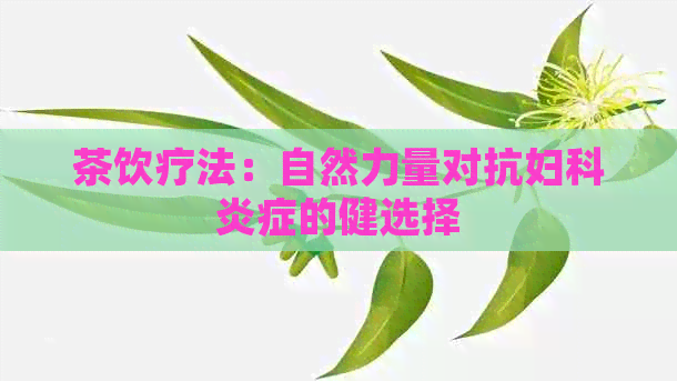 茶饮疗法：自然力量对抗妇科炎症的健选择