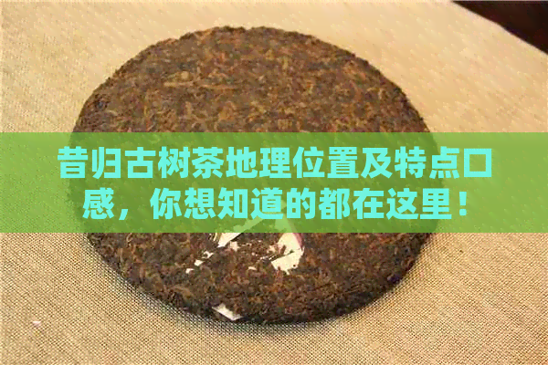 昔归古树茶地理位置及特点口感，你想知道的都在这里！