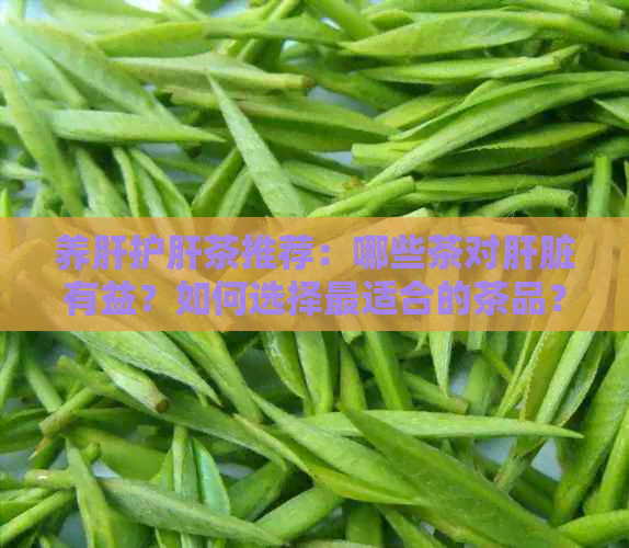 养肝护肝茶推荐：哪些茶对肝脏有益？如何选择最适合的茶品？