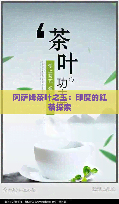 阿萨姆茶叶之王：印度的红茶探索