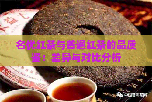 名优红茶与普通红茶的品质鉴：差异与对比分析