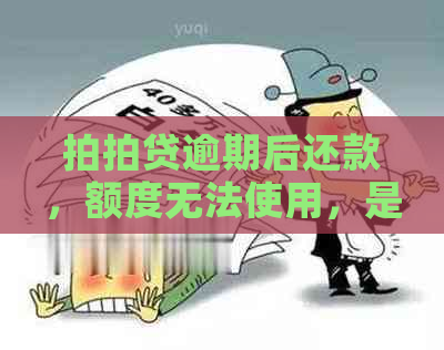 逾期后还款，额度无法使用，是否可以再次申请？