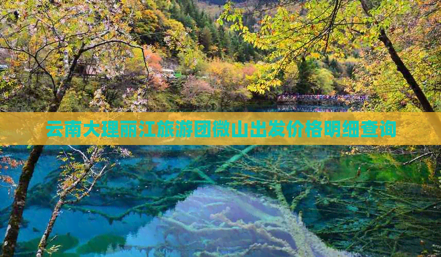 云南大理丽江旅游团微山出发价格明细查询