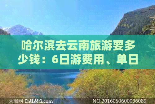 哈尔滨去云南旅游要多少钱：6日游费用、单日预算及攻略