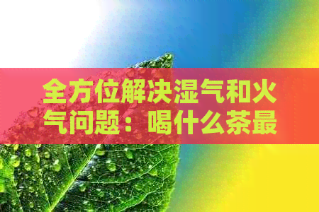 全方位解决湿气和火气问题：喝什么茶最有效？