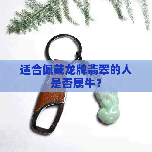 适合佩戴龙牌翡翠的人是否属牛？