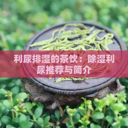 利尿排湿的茶饮：除湿利尿推荐与简介