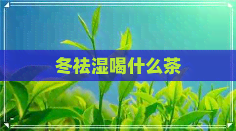 冬祛湿喝什么茶