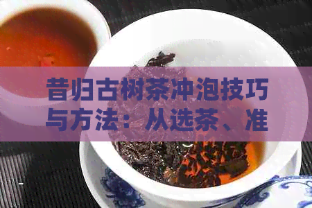 昔归古树茶冲泡技巧与方法：从选茶、准备到品鉴的全面指南