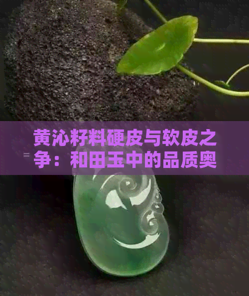 黄沁籽料硬皮与软皮之争：和田玉中的品质奥秘