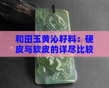 和田玉黄沁籽料：硬皮与软皮的详尽比较，解答你的所有疑问