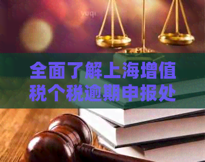 全面了解上海增值税个税逾期申报处罚措与解决方法，避免不必要的经济损失