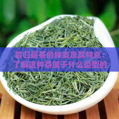 昔归藤茶的种类及其特点：了解这种茶属于什么类型的茶叶以及其独特魅力