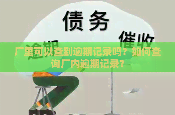 厂里可以查到逾期记录吗？如何查询厂内逾期记录？