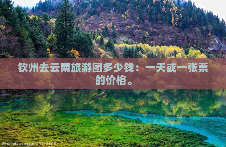 钦州去云南旅游团多少钱：一天或一张票的价格。