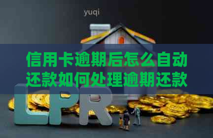 信用卡逾期后怎么自动还款如何处理逾期还款和避免利息？