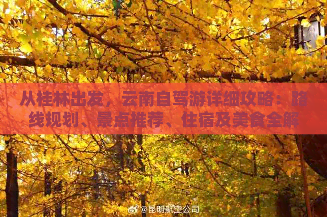 从桂林出发，云南自驾游详细攻略：路线规划、景点推荐、住宿及美食全解