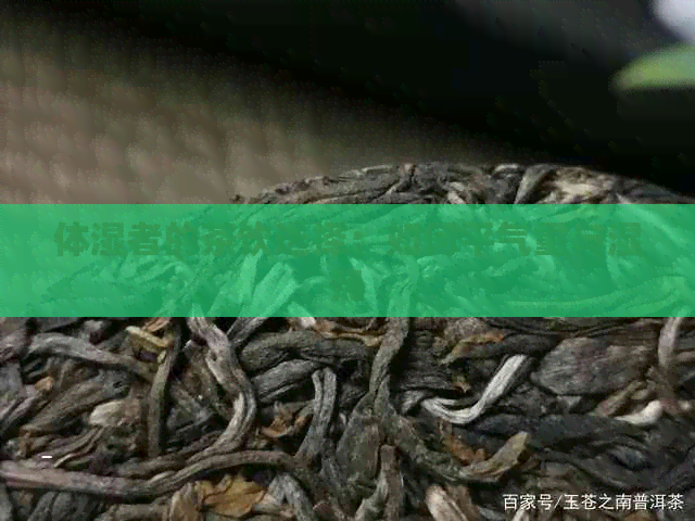 体湿者的茶饮选择：如何平气重与湿热