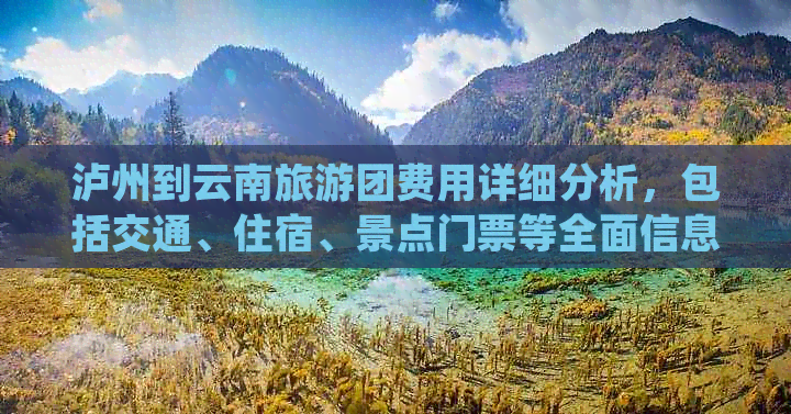 泸州到云南旅游团费用详细分析，包括交通、住宿、景点门票等全面信息