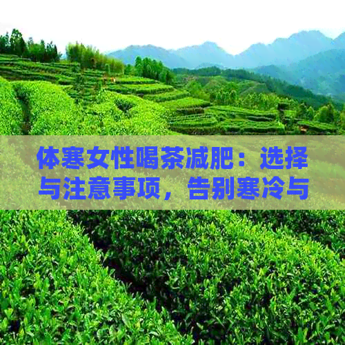 体寒女性喝茶减肥：选择与注意事项，告别寒冷与脂肪的双重困扰