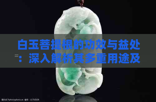 白玉菩提根的功效与益处：深入解析其多重用途及价值