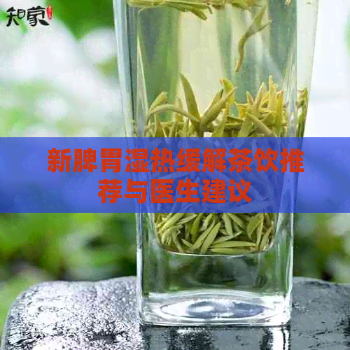 新脾胃湿热缓解茶饮推荐与医生建议