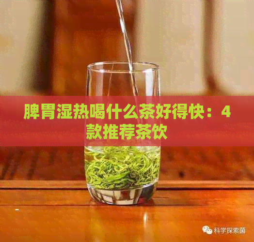 脾胃湿热喝什么茶好得快：4款推荐茶饮