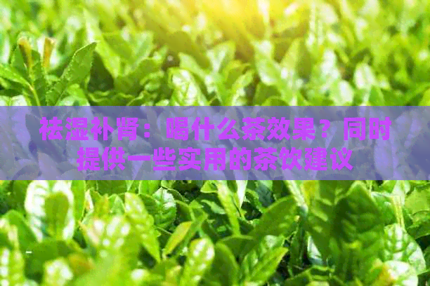 祛湿补肾：喝什么茶效果？同时提供一些实用的茶饮建议