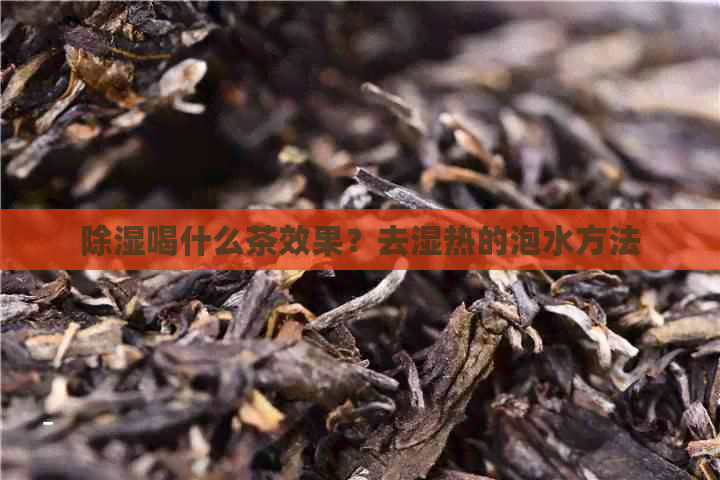 除湿喝什么茶效果？去湿热的泡水方法