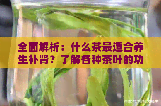 全面解析：什么茶最适合养生补肾？了解各种茶叶的功效与特点