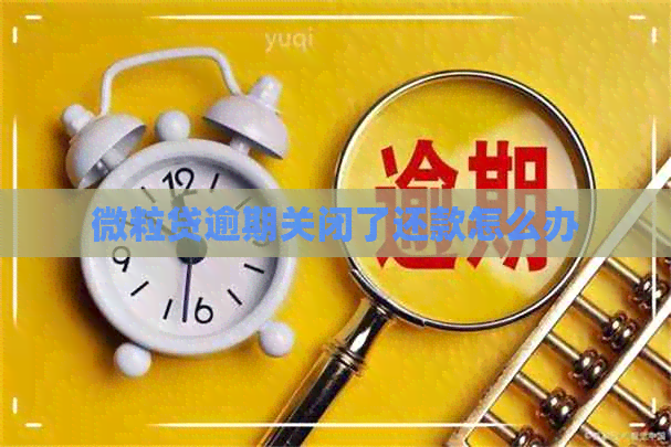 微粒贷逾期关闭了还款怎么办